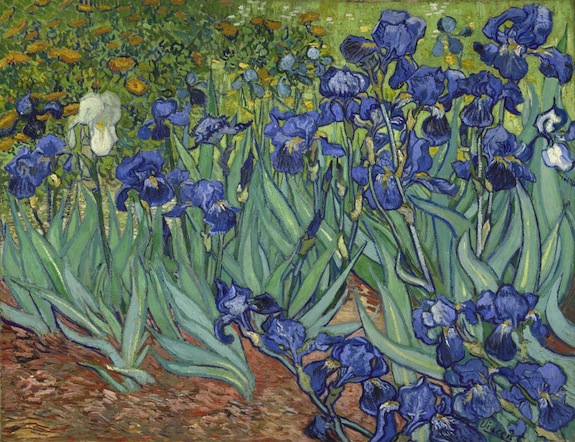 van gogh irises